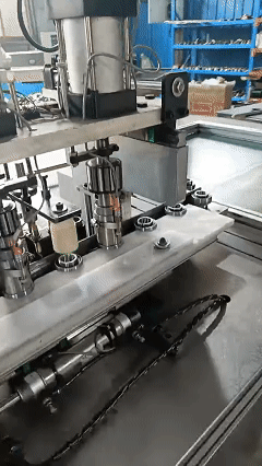 GIF 3