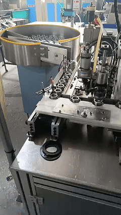 GIF 4